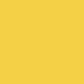 Краска PRIME COLOR резиновая PRO Желтая 10-05 арт.10